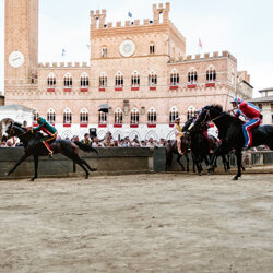 palio 2022-15